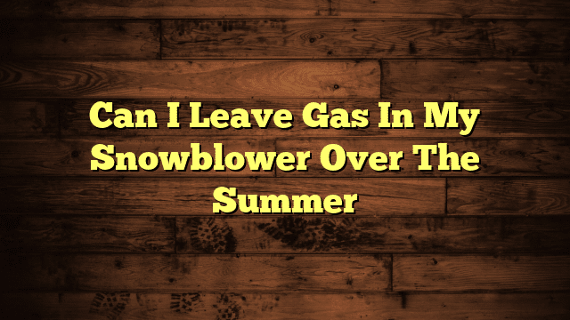 Can I Leave Gas In My Snowblower Over The Summer