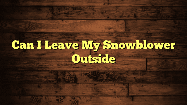 Can I Leave My Snowblower Outside