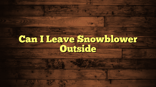 Can I Leave Snowblower Outside