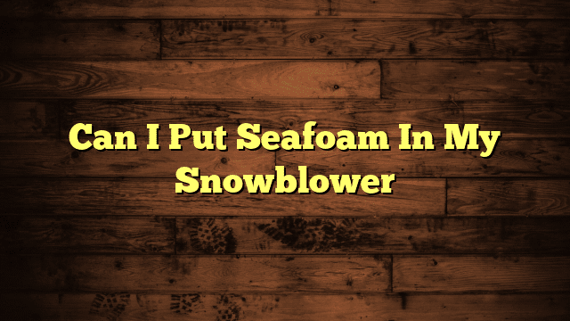 Can I Put Seafoam In My Snowblower