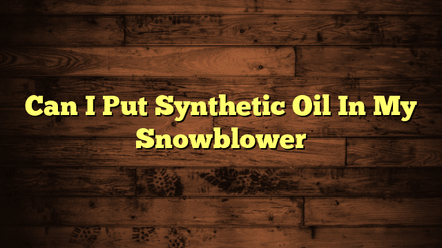 Can I Put Synthetic Oil In My Snowblower