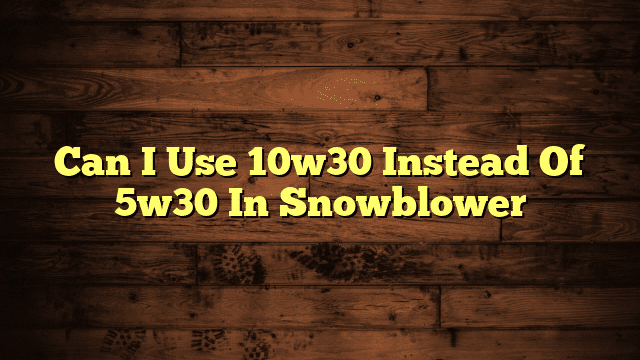 Can I Use 10w30 Instead Of 5w30 In Snowblower