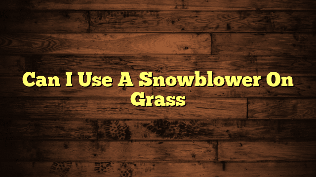Can I Use A Snowblower On Grass