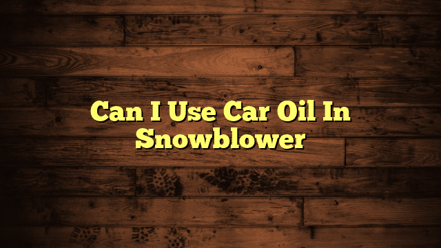 Can I Use Car Oil In Snowblower