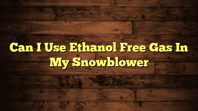 Can I Use Ethanol Free Gas In My Snowblower
