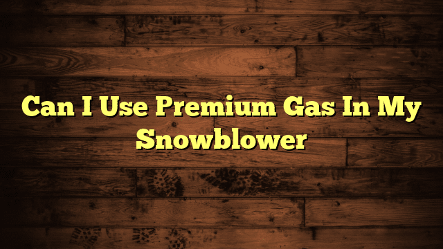Can I Use Premium Gas In My Snowblower
