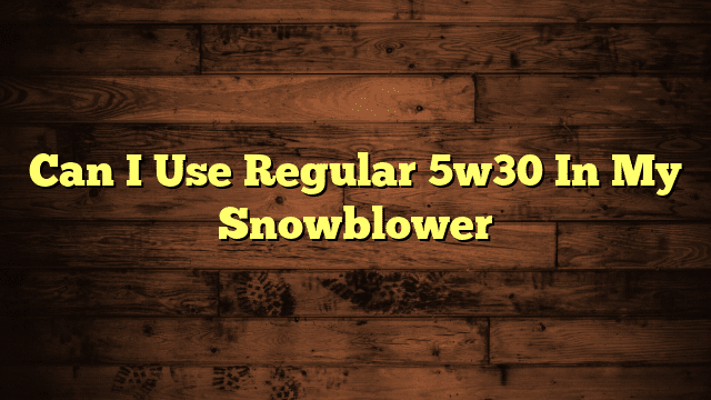 Can I Use Regular 5w30 In My Snowblower