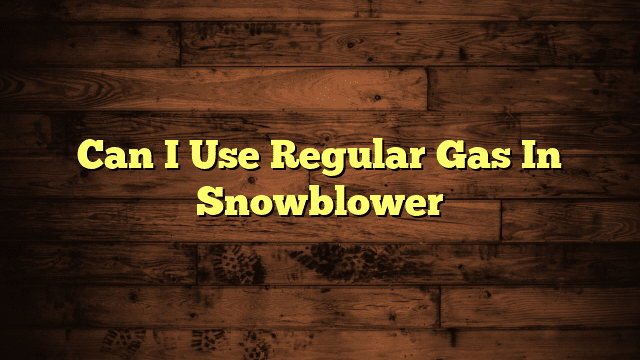 Can I Use Regular Gas In Snowblower