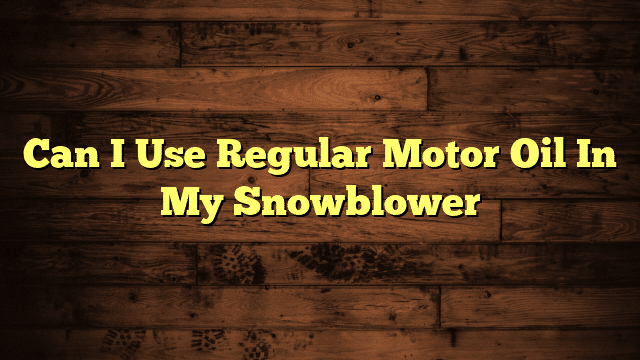 Can I Use Regular Motor Oil In My Snowblower