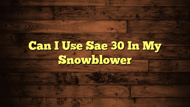 Can I Use Sae 30 In My Snowblower