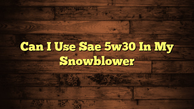 Can I Use Sae 5w30 In My Snowblower