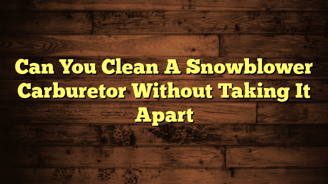 Can You Clean A Snowblower Carburetor Without Taking It Apart