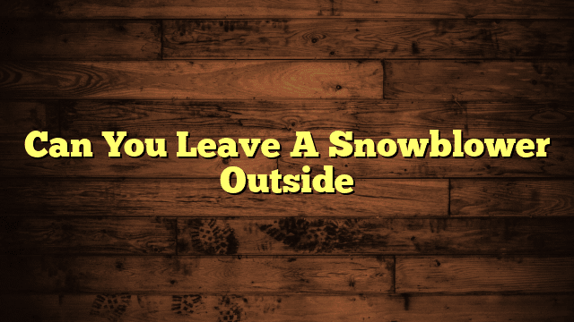 Can You Leave A Snowblower Outside