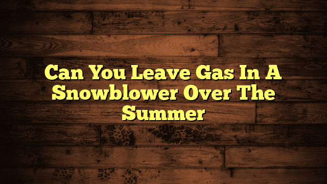 Can You Leave Gas In A Snowblower Over The Summer