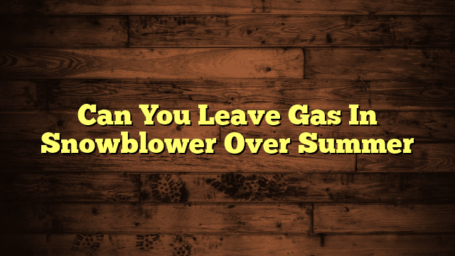 Can You Leave Gas In Snowblower Over Summer