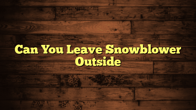 Can You Leave Snowblower Outside