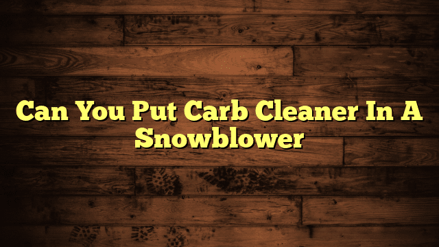 Can You Put Carb Cleaner In A Snowblower