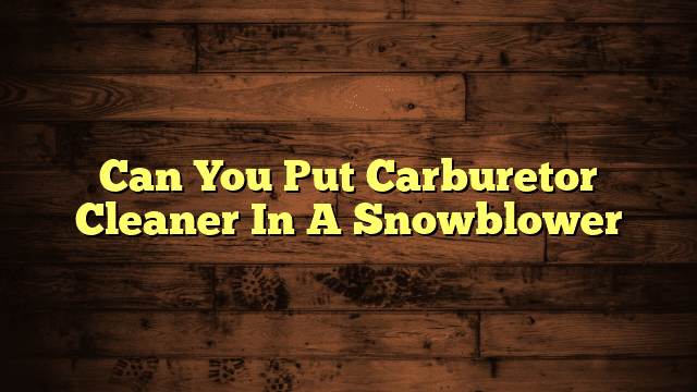 Can You Put Carburetor Cleaner In A Snowblower