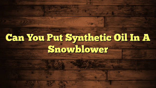 Can You Put Synthetic Oil In A Snowblower