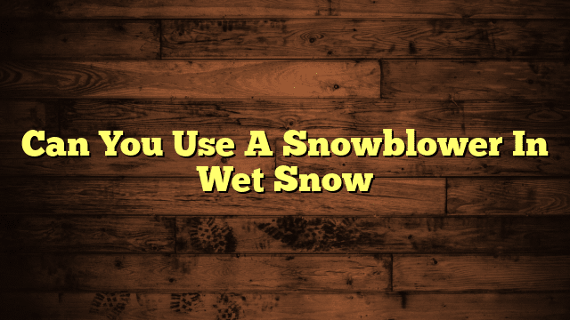 Can You Use A Snowblower In Wet Snow