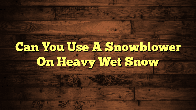 Can You Use A Snowblower On Heavy Wet Snow