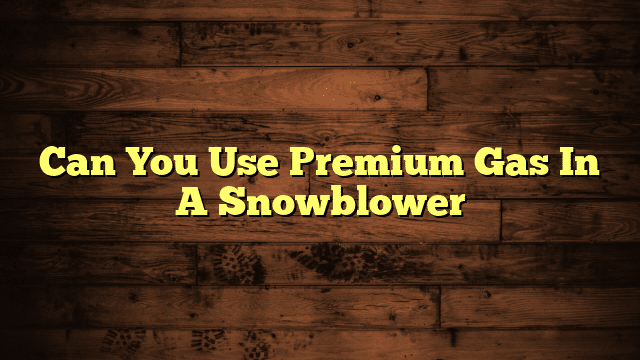 Can You Use Premium Gas In A Snowblower