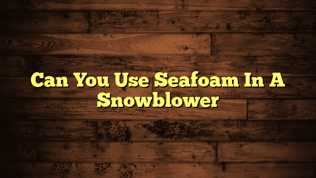 Can You Use Seafoam In A Snowblower