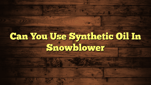 Can You Use Synthetic Oil In Snowblower