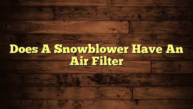 Does A Snowblower Have An Air Filter