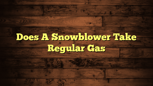Does A Snowblower Take Regular Gas