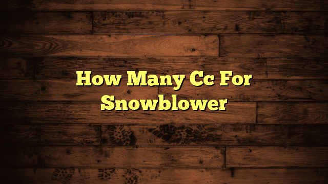 How Many Cc For Snowblower