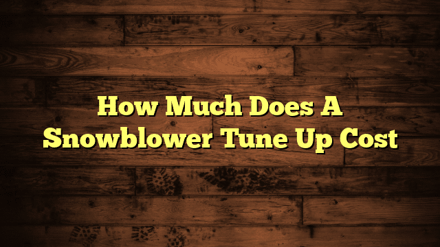 How Much Does A Snowblower Tune Up Cost
