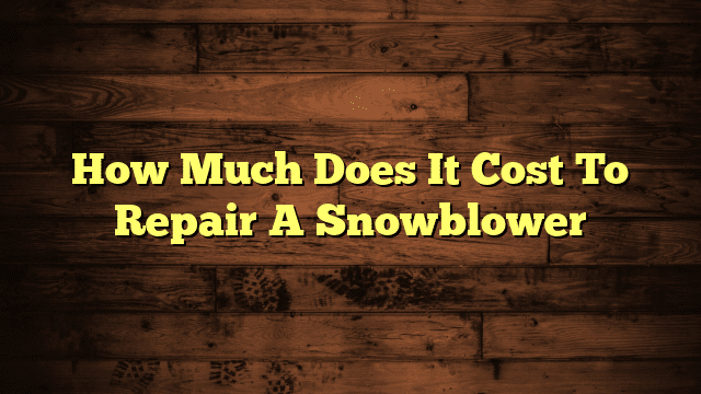 How Much Does It Cost To Repair A Snowblower