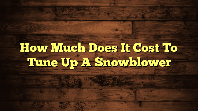 How Much Does It Cost To Tune Up A Snowblower