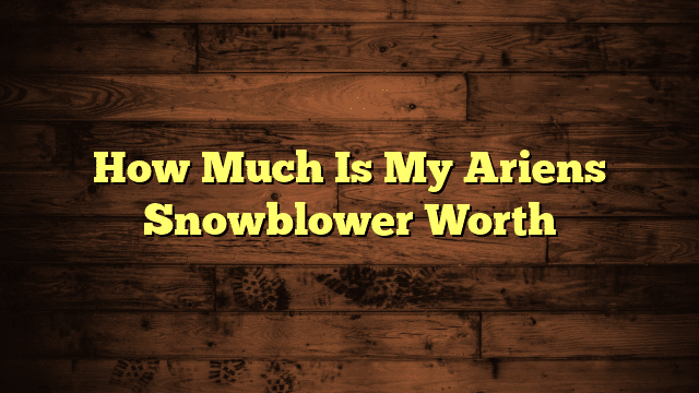 How Much Is My Ariens Snowblower Worth