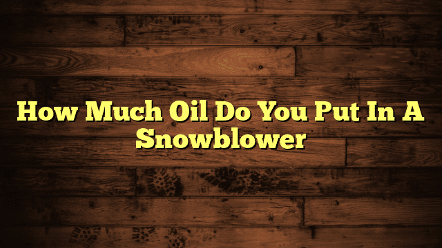 How Much Oil Do You Put In A Snowblower