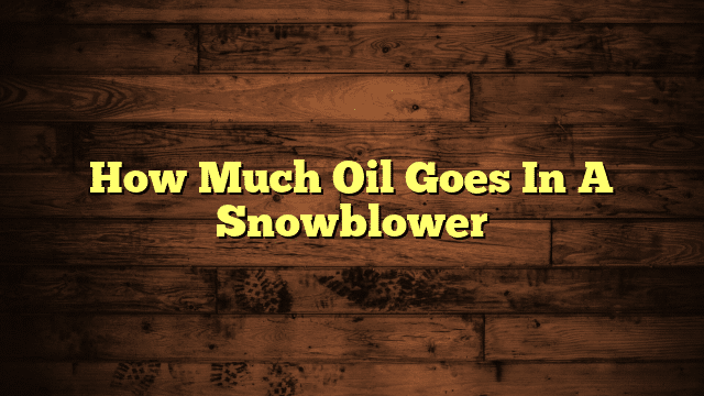 How Much Oil Goes In A Snowblower