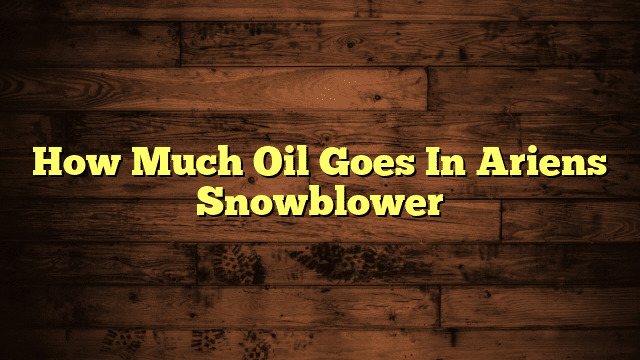 How Much Oil Goes In Ariens Snowblower