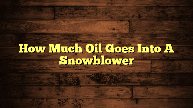 How Much Oil Goes Into A Snowblower