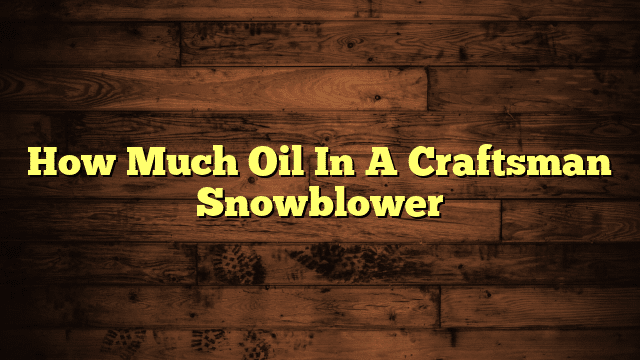 How Much Oil In A Craftsman Snowblower