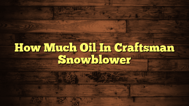 How Much Oil In Craftsman Snowblower