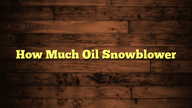 How Much Oil Snowblower