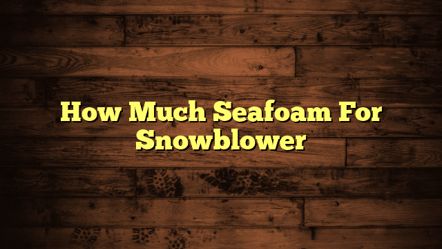 How Much Seafoam For Snowblower