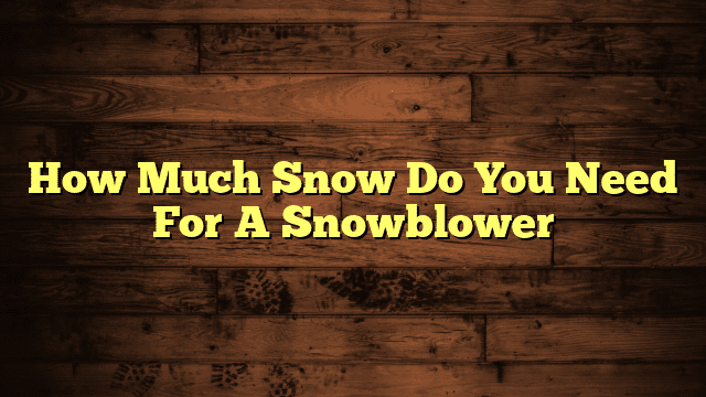 How Much Snow Do You Need For A Snowblower