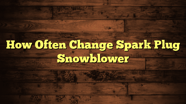How Often Change Spark Plug Snowblower