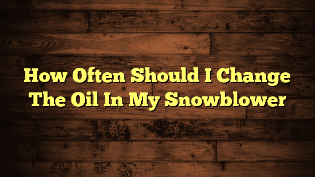 How Often Should I Change The Oil In My Snowblower