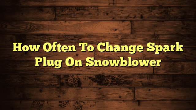 How Often To Change Spark Plug On Snowblower