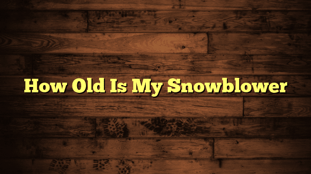 How Old Is My Snowblower