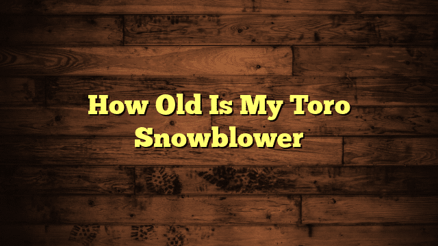 How Old Is My Toro Snowblower