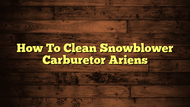How To Clean Snowblower Carburetor Ariens